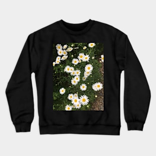 Little White Daisies Crewneck Sweatshirt